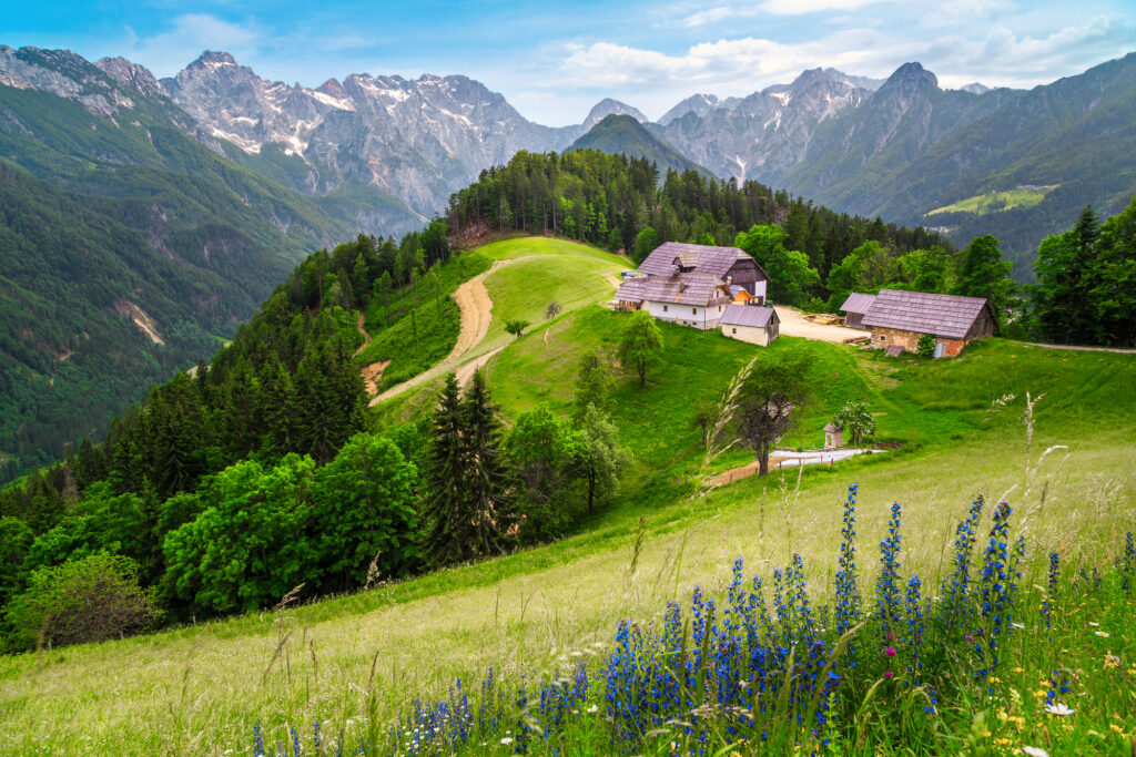 Logar valley view from the Solcava panoramic road Slovenia